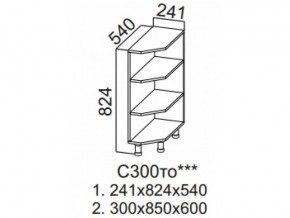 С300то Стол-рабочий 300 (торцевой открытый) в Лесном - lesnoj.magazin-mebel74.ru | фото