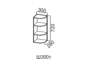 Ш300т/720 Шкаф навесной 300/720 (торцевой) в Лесном - lesnoj.magazin-mebel74.ru | фото