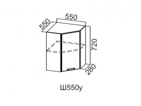 Ш550у/720 Шкаф навесной 550/720 (угловой) в Лесном - lesnoj.magazin-mebel74.ru | фото