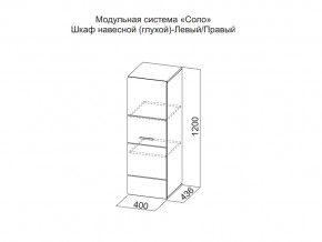 Шкаф навесной (глухой) Левый в Лесном - lesnoj.magazin-mebel74.ru | фото